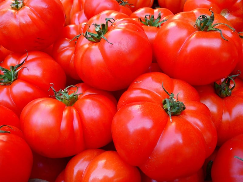 Healthy Nutrition